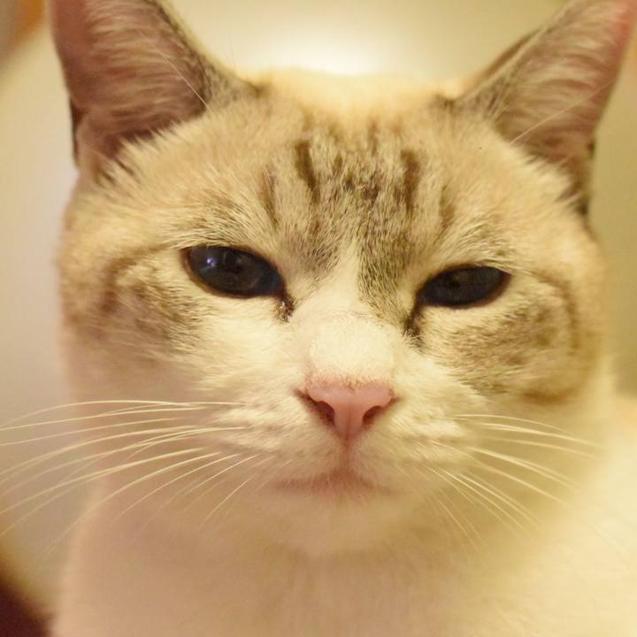 3c04ca27 e271 41ca 8378 39e55e2b94a8 1537351373675