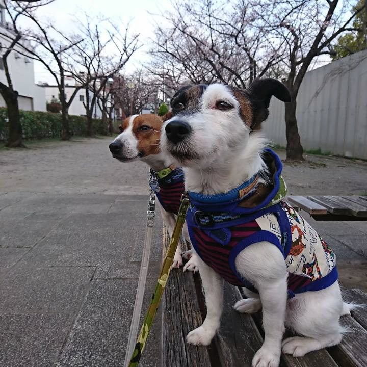 3c05319a aad9 4e67 bf06 a377f27c907a 1553508086381