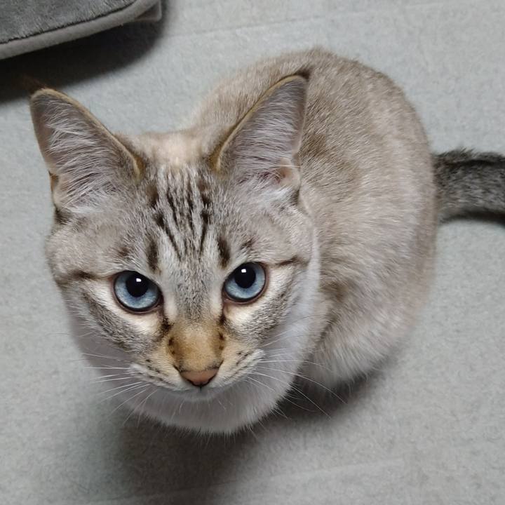 3c057726 ddcf 465d 9f81 f4b5bca31128 1638357660981