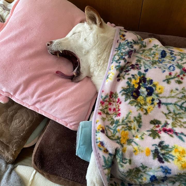 3c057828 3f93 4214 94b9 68577d151188 1637163546085