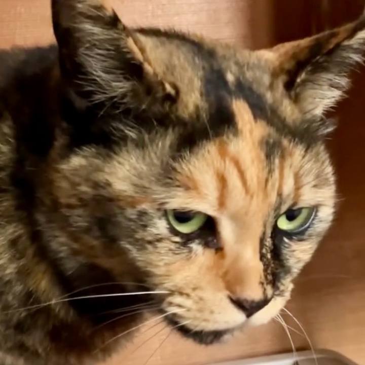 3c05bda5 b6ee 4af7 8c7d 76f975554ca8 1742781352577