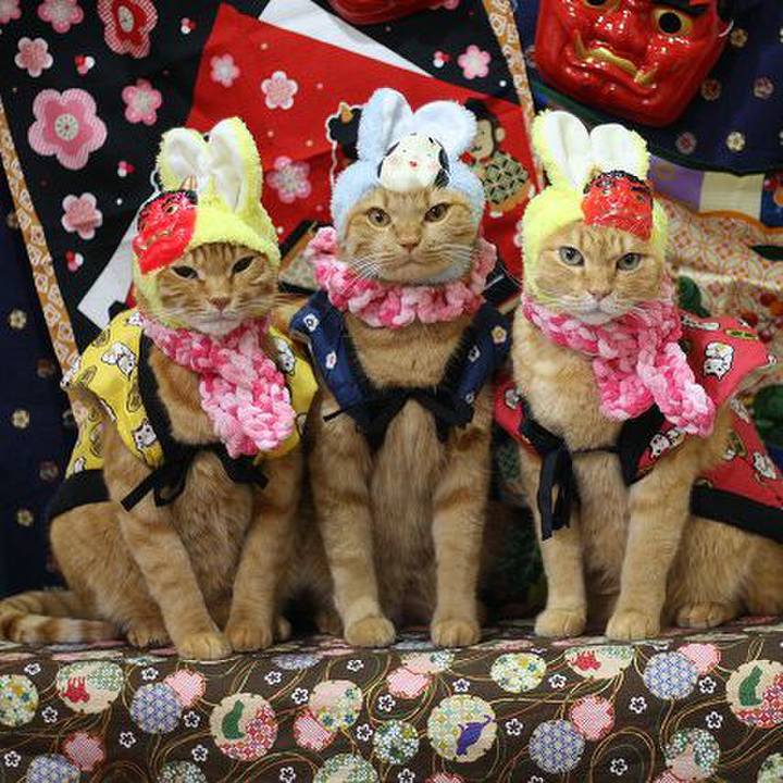 3c05c10f 138c 4ce7 8c51 4337f1e34a3f 1580636955346