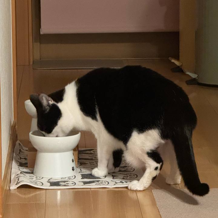 3c062286 1270 43a3 a898 b691a82afbd0 1768909172309