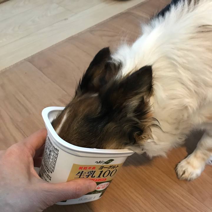 3c06731f 11e8 4c80 a390 b4333917ac32 1552479846698