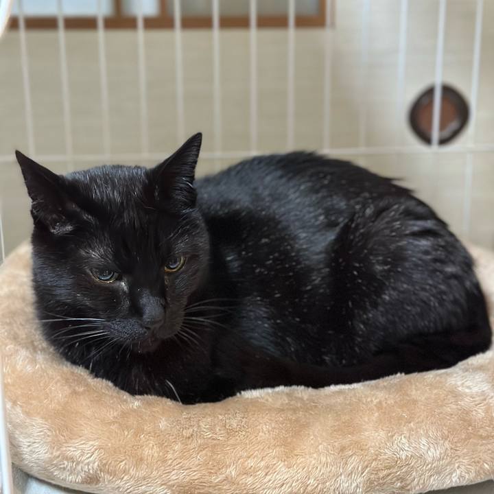 3c0675a5 b338 4269 a071 ec7a8c064862 1681434524764