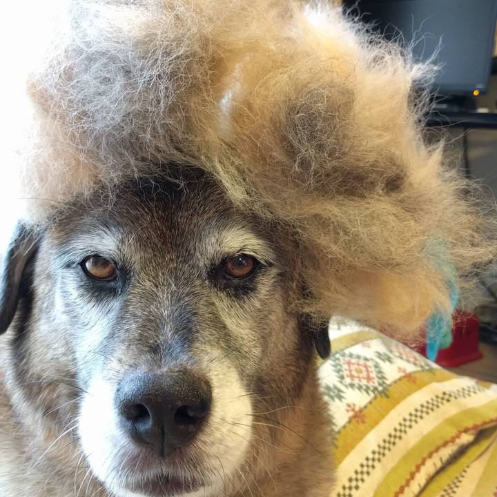 3c067ab9 4140 43c8 a6e0 86c69179c513 1624329965188