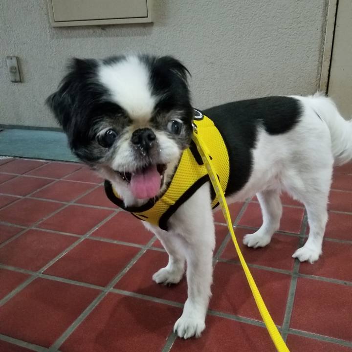 3c06c3dd 86e6 4b47 9a89 265026a49599 1564056755826