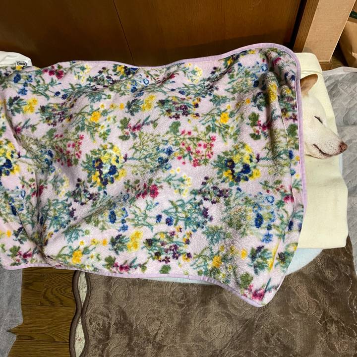 3c079b17 bb45 408c 9852 53862e81f409 1635693983164