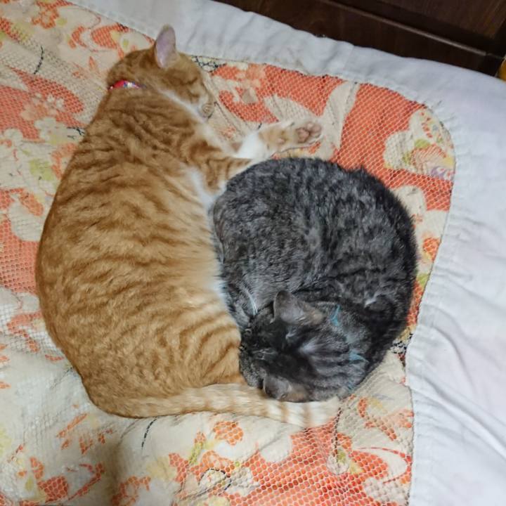 3c07d211 f389 4d77 9edd f7fc7a9e4569 1577365816122