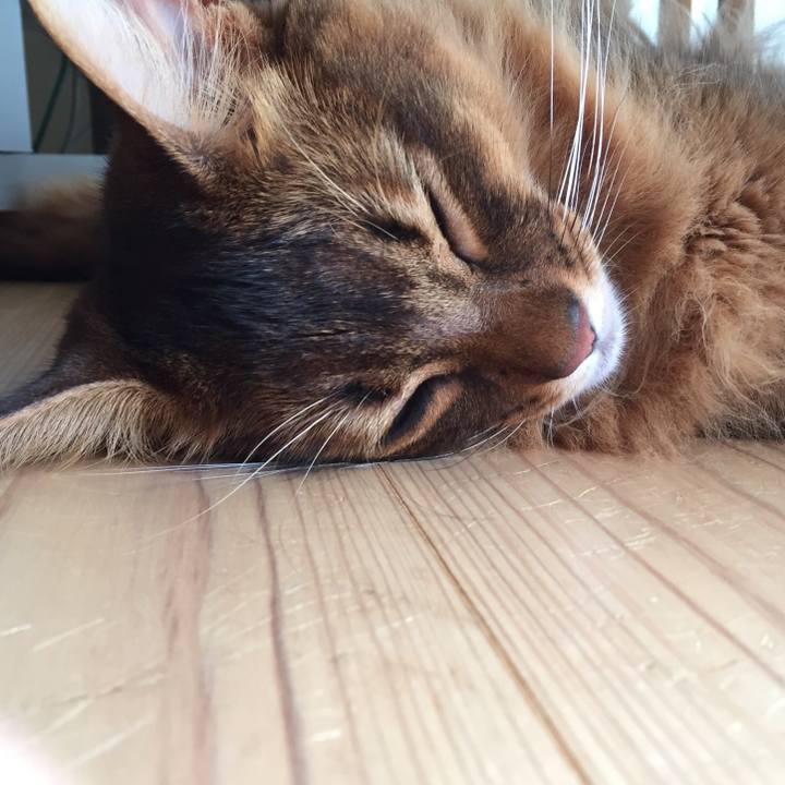 3c07f981 1c4d 4b60 9e28 b59149d519c1 1629617400337