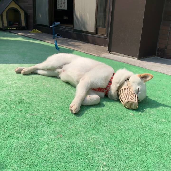 3c081361 0ae7 4349 a792 48428c7f2d48 1563045917069