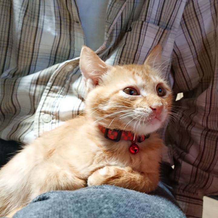 3c0860e3 cd68 4ca7 b48c 579efa40f946 1631565027682