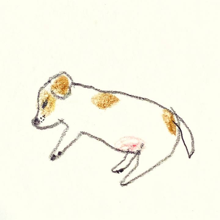 3c087b19 96ec 44b2 abb7 8049ceabe56e 1639571710050