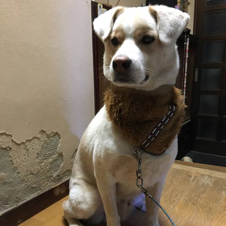 3c087d7d 8629 45aa a81b 095104bdafac 1509364094009