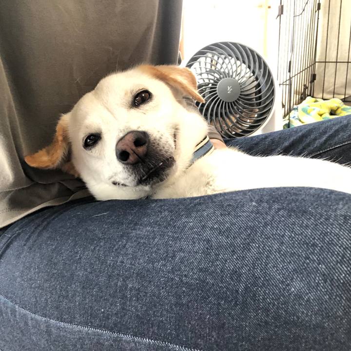 3c0894b4 b24a 48ba 917e 77ea1f3f2c9b 1623714642983