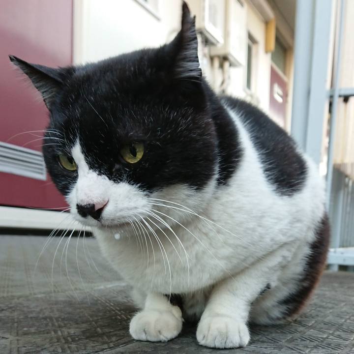 3c08a337 30e9 48ec 80ff 6abd03703fe0 1640588850289