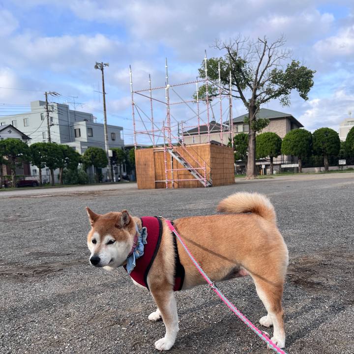 3c08a574 0dc8 4960 95bd 488bf12265b7 1722463102739