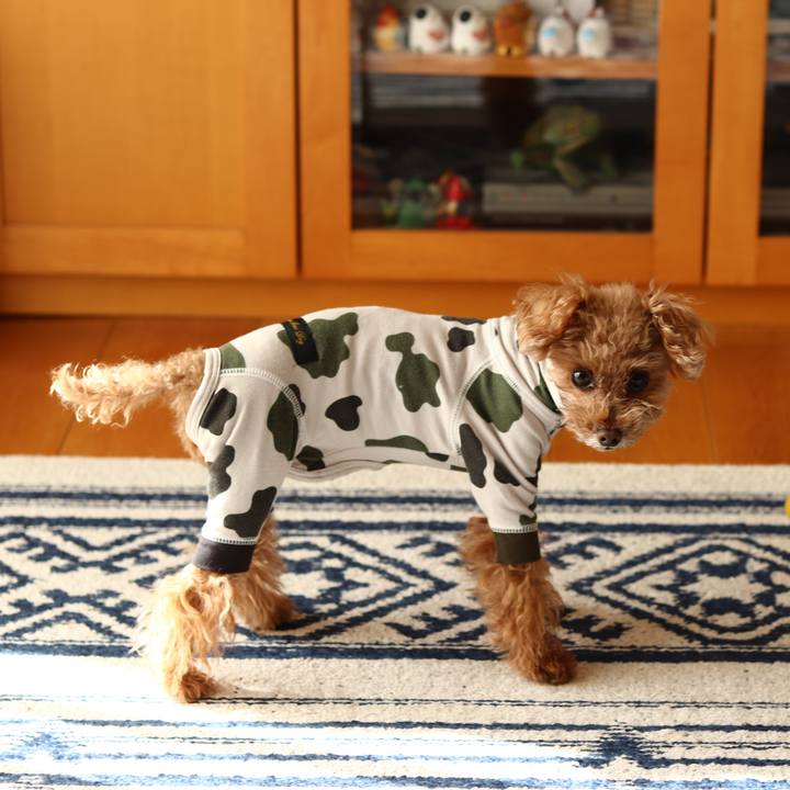 3c08b48c 64d9 4ef9 a920 f01756e5cdd7 1607093739041