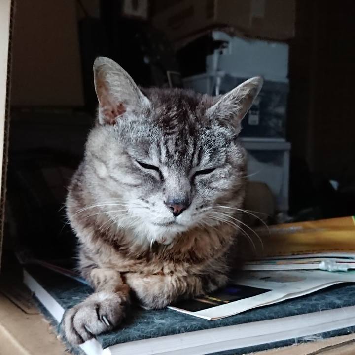 3c08bdff 1d49 4f62 b458 a521c15b4797 1563786044940