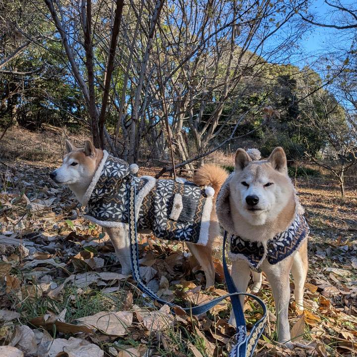 3c08d07e 35d5 427d acdc 841558b13bf8 1769739409614