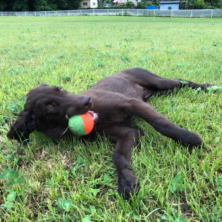 3c08f634 5403 46fa ac91 23f69273d216 1558429616185