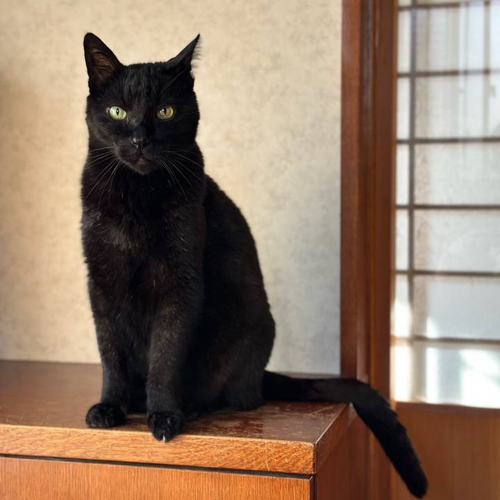 3c0914c7 5359 43f5 8064 f967b0f0ce3f 1680394550257