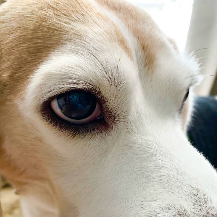 3c0914f0 f618 44cd bd66 3acbadf95be6 1604289028966