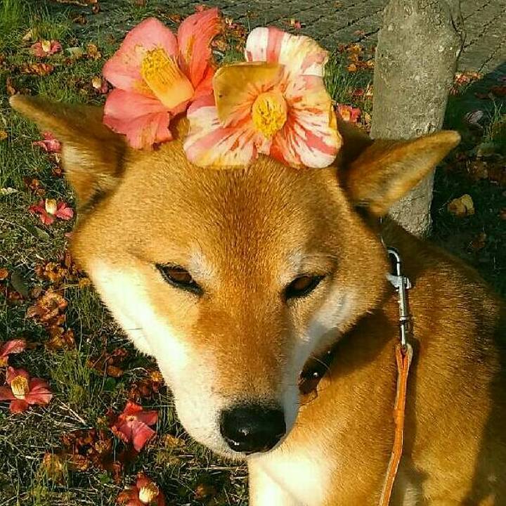 3c0915b0 27b1 4378 bb7b 40e080f31799 1552810775041