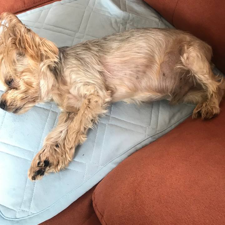 3c092334 e244 4f99 b402 1f2cc9559051 1631958843103