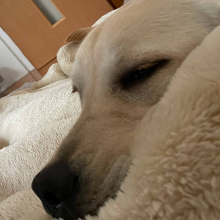 3c093b43 af5e 4936 bdcb 9a1aff526f02 1623109943440