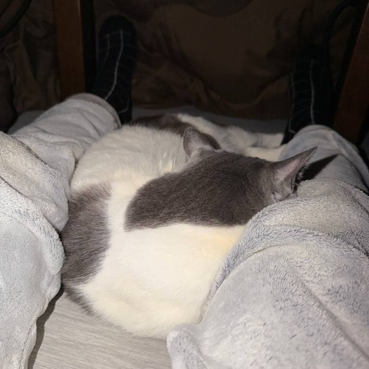 3c093d7d 8f7a 46a3 9cfa 9d61104b934d 1769509851785