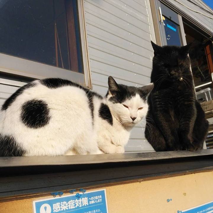 3c095b9f b28e 4d7e a2cc 2b43a8dc37fc 1611278950243