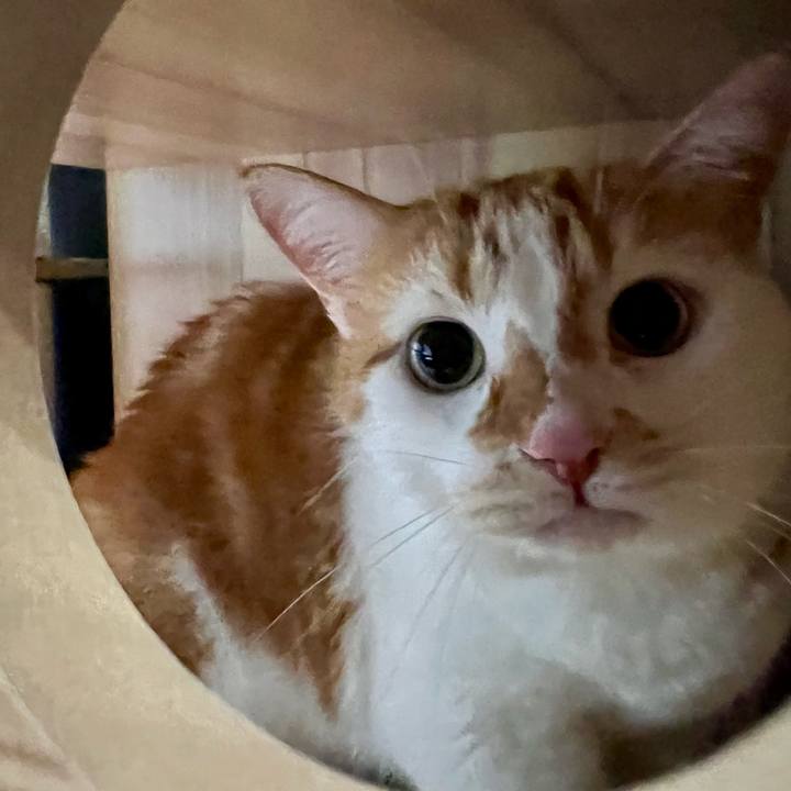 3c09cd10 6576 4557 91f4 aaa8102250a6 1758167027657