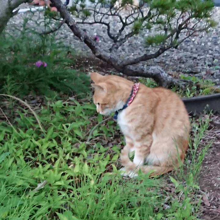 3c0a0281 7fd0 4b6a b327 3acecb8588a0 1560770053124