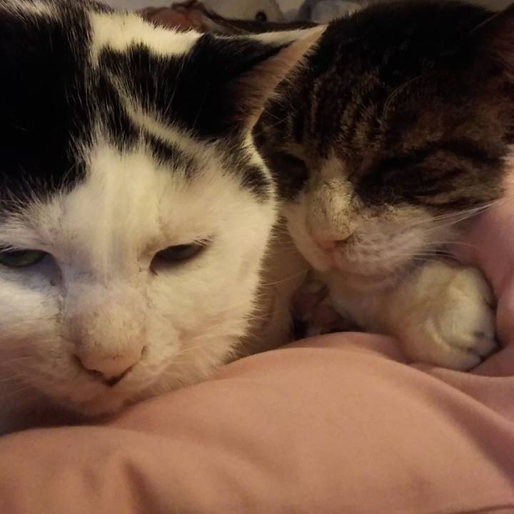 3c0a1568 0f2e 47ef 9d71 2b97dafbbefa 1626929932835