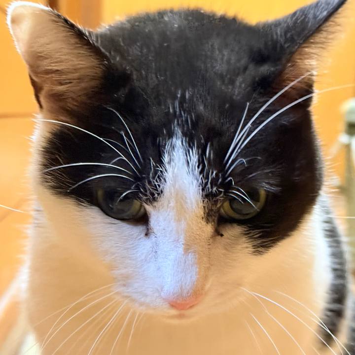 3c0a52bd 64c4 447f a5da ecf7cfa23f60 1734746031420