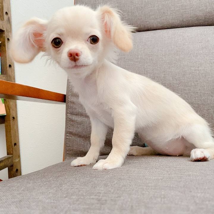 3c0a726c 9181 4a16 b2af 33da37e64e8a 1592440585882