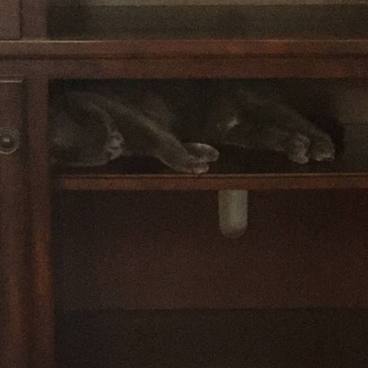 3c0a7cd6 c8c8 48ff b9f8 ef020883fff0 1659057086889