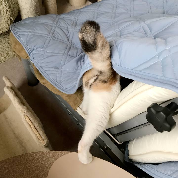 3c0aa623 98fc 4cc8 b990 cd4d2d8e6326 1537149828291