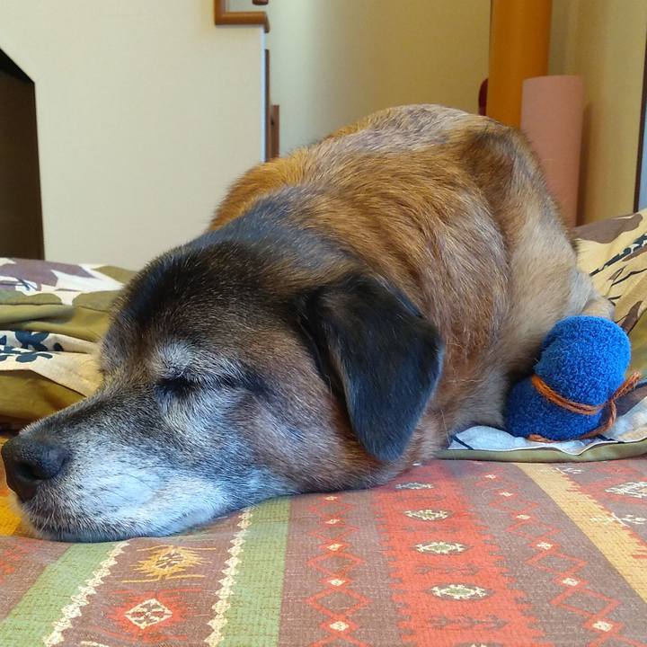 3c0b2b05 1c62 44dc 9274 2efc408ec13b 1547188582117