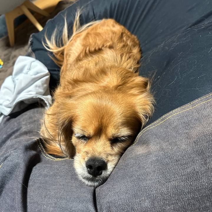 3c0b4172 34f0 42a7 a5da 3c5d805e21f0 1732004495505