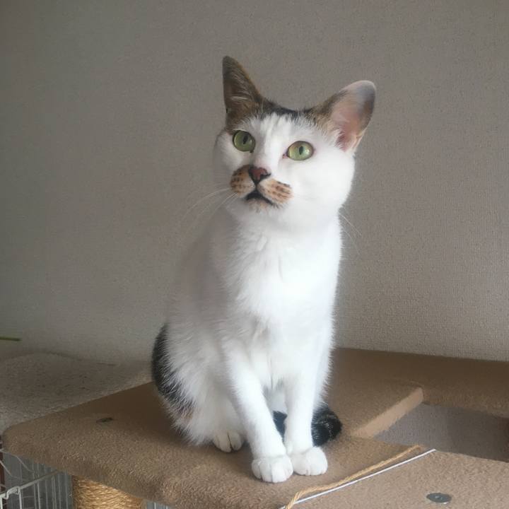 3c0b54c5 c24f 45d2 91db d8143ee0933c 1631026573562