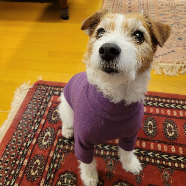 3c0b93ff f1e2 4a68 a503 17f584d8183b 1741663814245