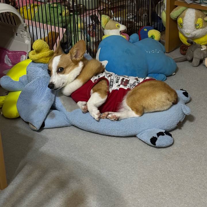 3c0ba017 49bf 450c ba0f 2ff7719f6e75 1761325098531