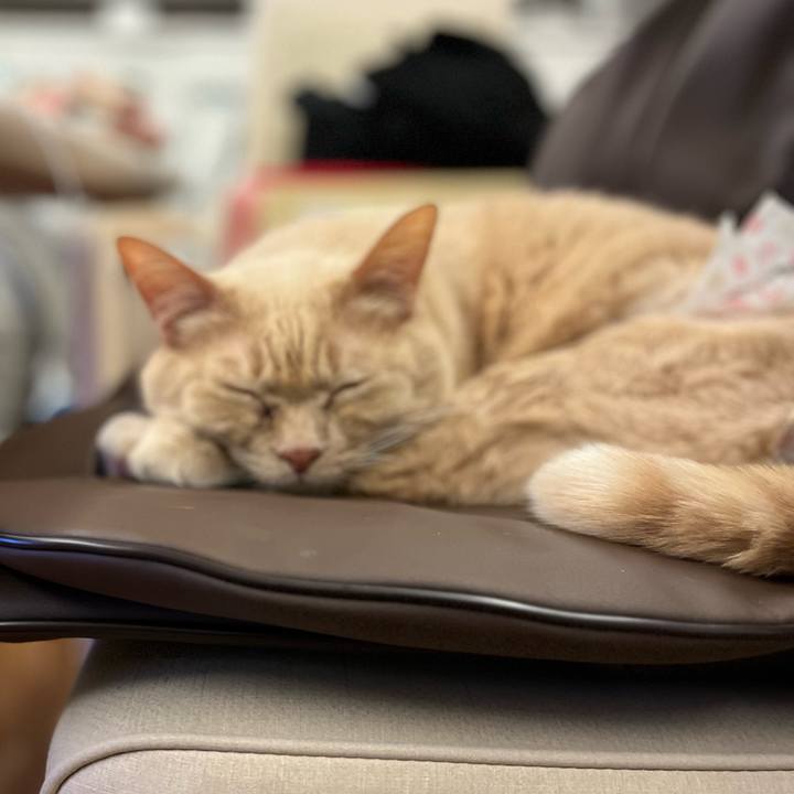 3c0bf899 a774 40b6 837e 5386edb1389f 1674986162822