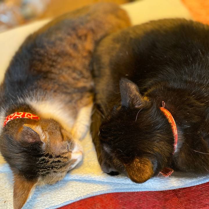 3c0c1333 5528 4799 b020 e3d6a63908bd 1573903419273