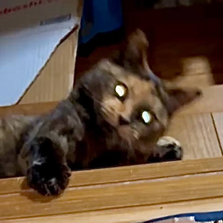 3c0c287b 8104 42c0 b902 f05e20b01b75 1748719117225