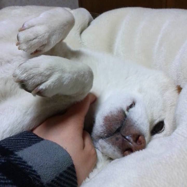 3c0c9285 3a76 4d46 885e 959fc2b105c6 1635247114199