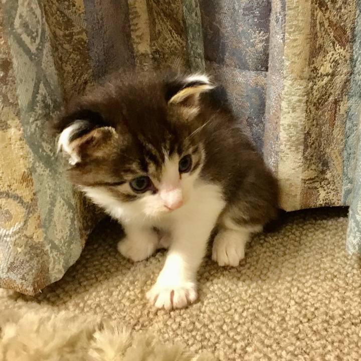 3c0ce4c5 8b63 4c4a 9d5b ff75fbfe22ba 1664836772136