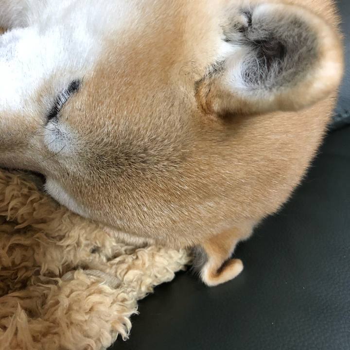 3c0ce932 c43a 4f76 b0fd 7e76eb9eb6df 1580620515606